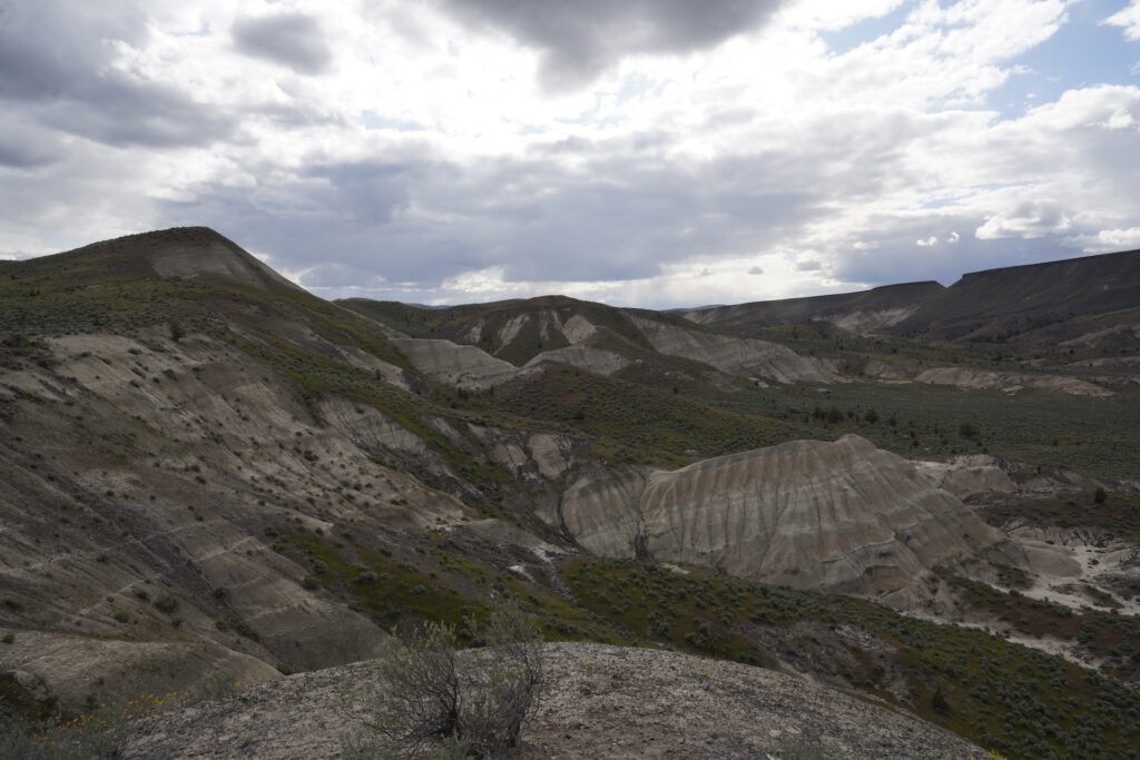 Layers of the Mascall Formation appear in the eroded slopes and hillsides poking out of the sagebrush desert at John Day Fossil Beds National Monument.