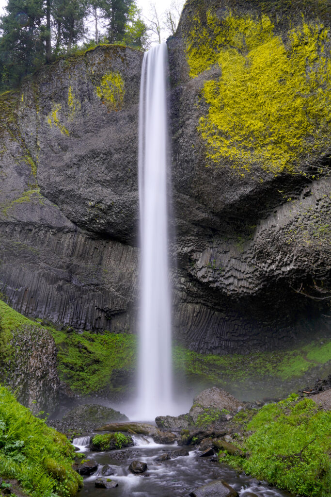 Latourell Falls plummets in a long silver strand. The columnar basalt cliffs are covered in patches of yellow lichen with a deep undercut near the falls base.