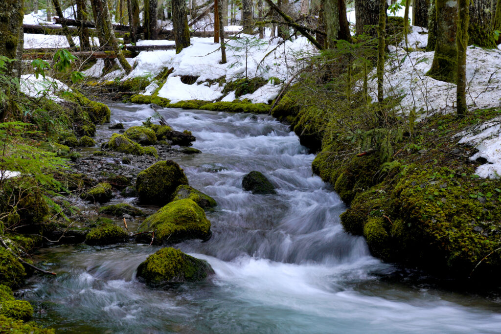 Melting snow reveals a mossy, green forest floor along the banks of a clear blue mountain stream.