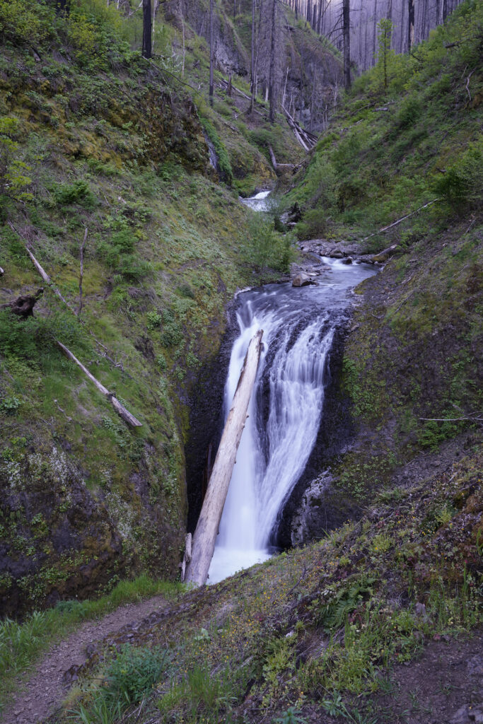 A log is right in the middle of Middle Oneonta Falls in the Columbia River Gorge Scenic Area in Oregon.