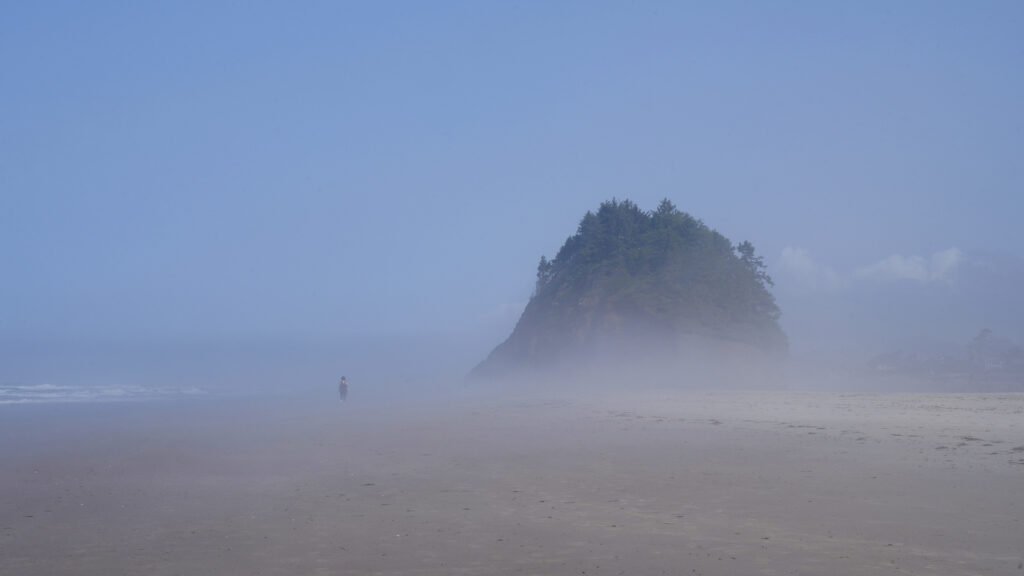 Looking north on Neskowin Beach toward tree-topped Proposal Rock. A thick, low fog obscures the sand, the rock, and a lone individual on the beach in the distance.