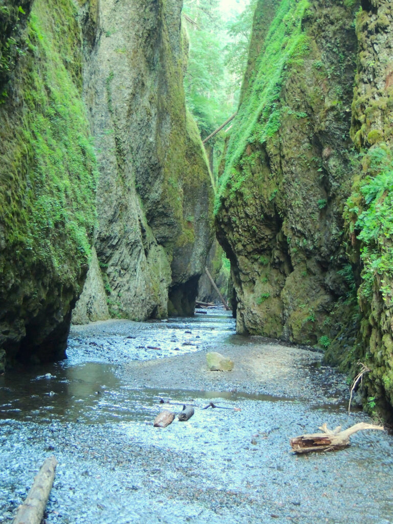 The walls go back for almost half a mile in Oneonta Gorge, a slot canyon in the wet temperate forest of Columbia Gorge National Scenic Area in Oregon.