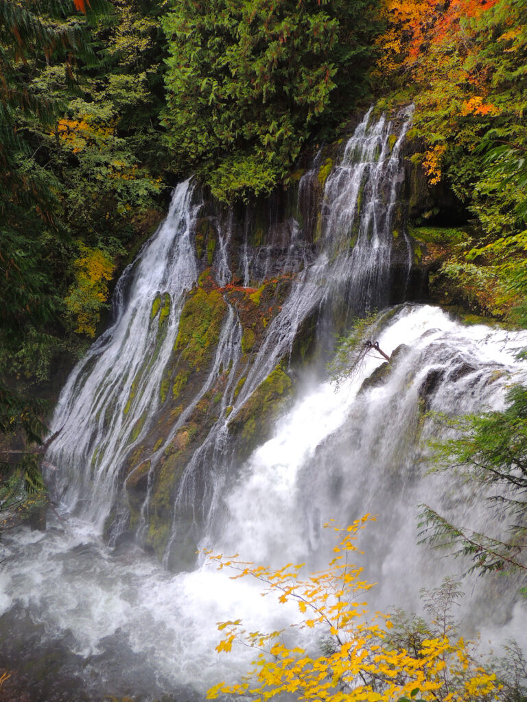 Rushing plunges and rivulets surrounded by autumn forest splendor sets the misty mood at Panther Creek Falls.