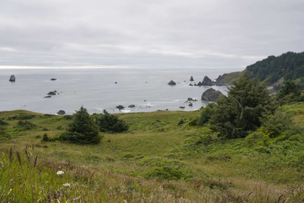 Looking north down grassy slopes to the Pacific Ocean at Cape Ferrelo.