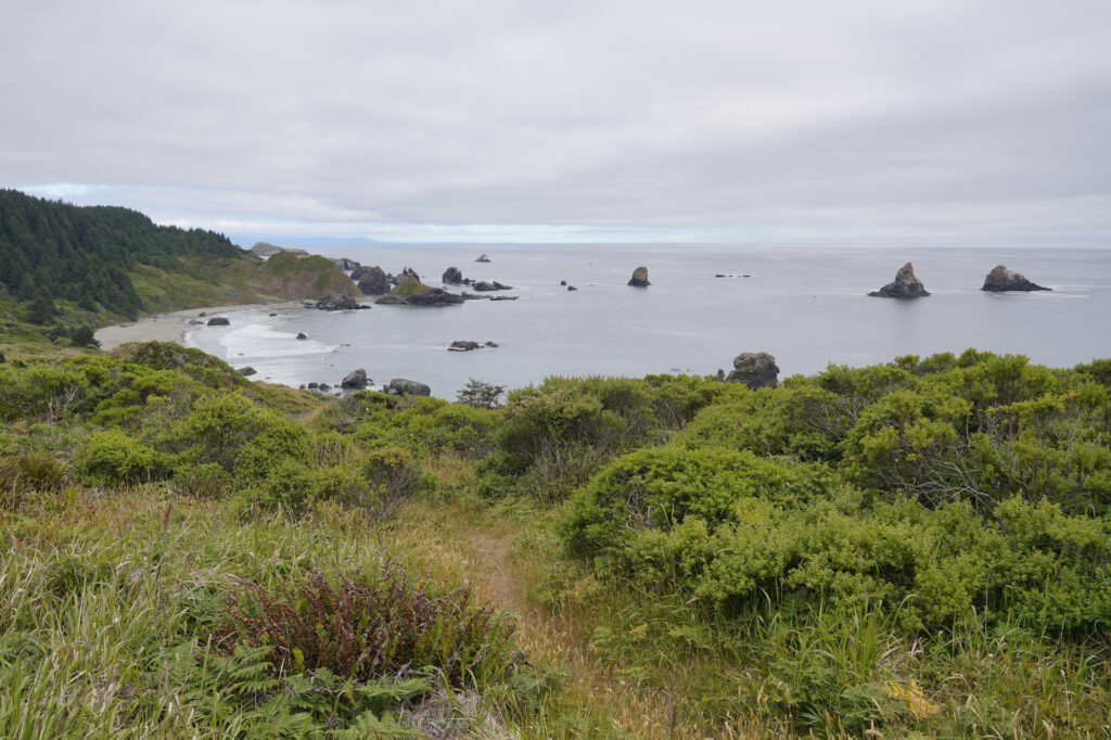 Looking south from Cape Ferrelo to Lone Ranch Beach on the Oregon Coast on a cloudy summer day. Coastal chaparral fills the foreground.