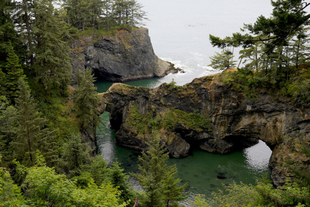 Calm, teal green seas flow beneath the forest-topped rock arches at Natural Bridges in Samuel H. Boardman State Scenic Corridor on the Oregon Coast.