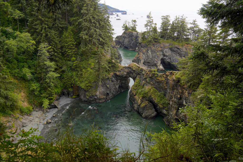 Conifers top every rock in the complex Natural Bridges formation at Samuel H. Boardman State Scenic Corridor on the Oregon Coast. Two of the seven arches are visible in this image.