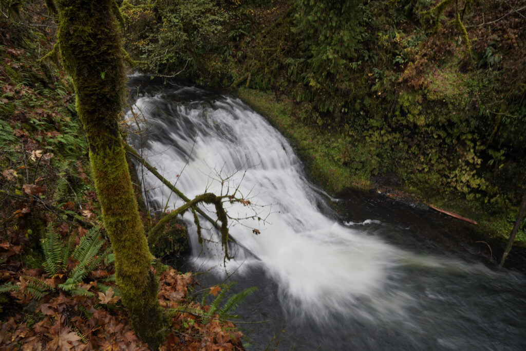 Drake falls sweeps down a slanted ledge in Silver Falls State Park, Oregon.