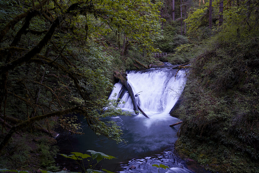 A log lies across the sloping face of Lower North Falls in Silver Falls State Park, Oregon.