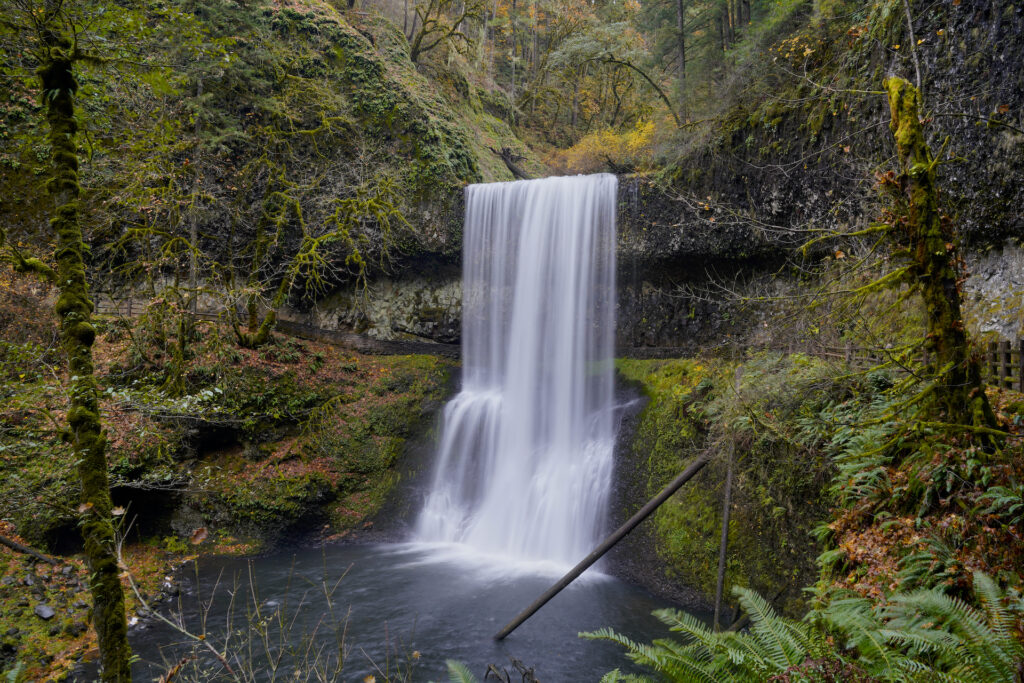 Fallen leaves and emerald moss decorate the surroundings of Lower South Falls in Silver Falls State Park, Oregon.