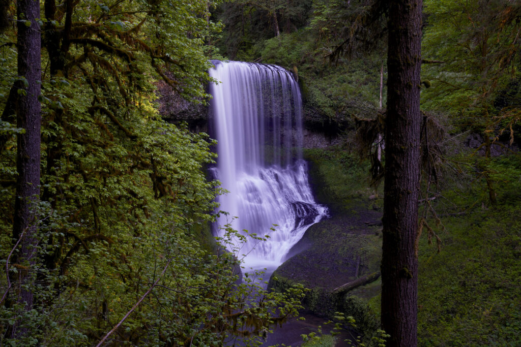 Lush temperate forest and mossy cliffs surround Middle North Falls in Silver Falls State Park, Oregon.