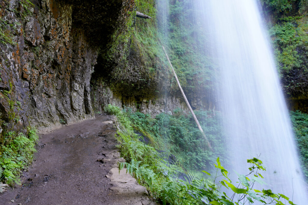 A trail passes behind Middle North Falls in Silver Falls State Park, with the trail to the left of the falls in the image.