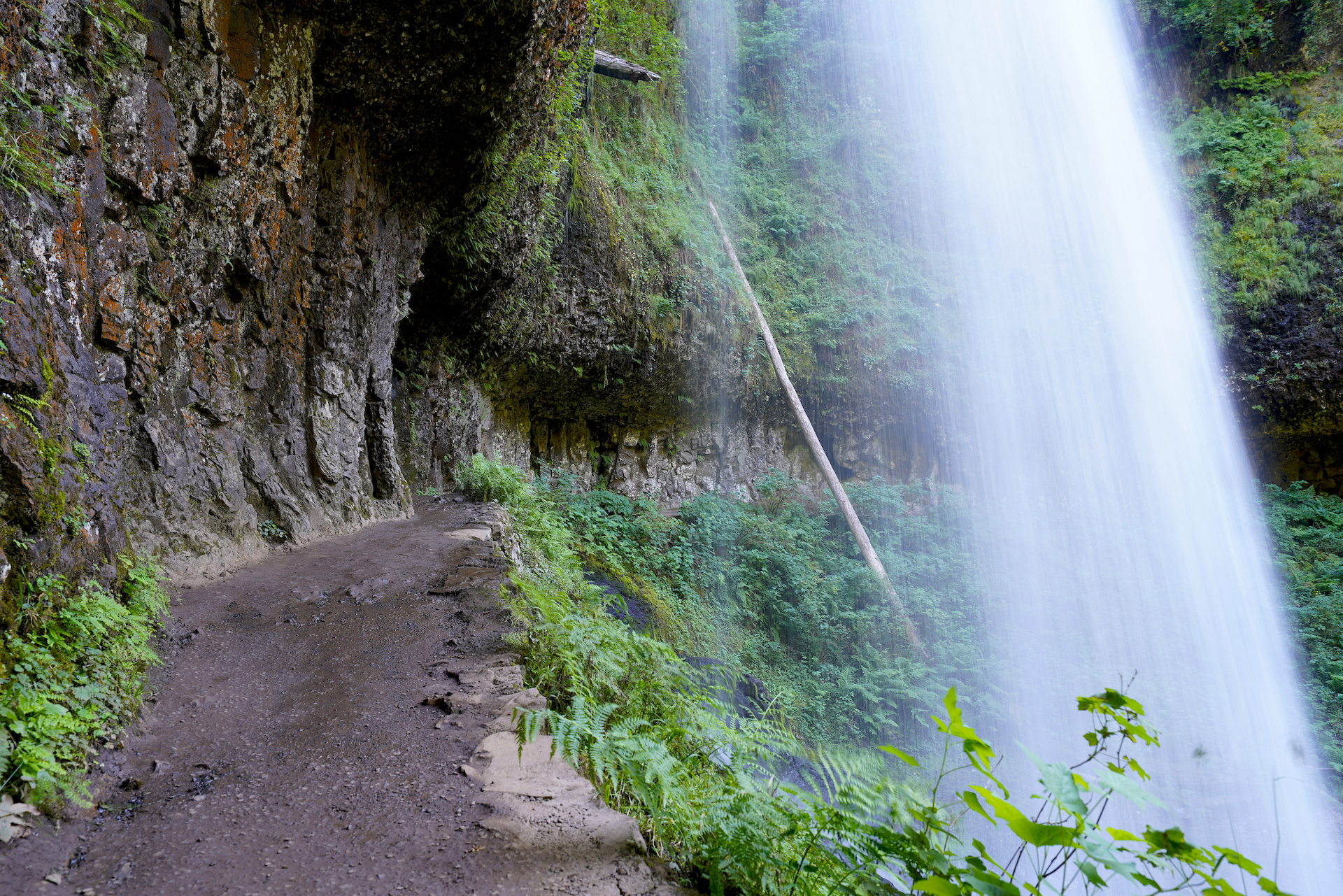 A trail passes behind Middle North Falls in Silver Falls State Park, with the trail to the left of the falls in the image.