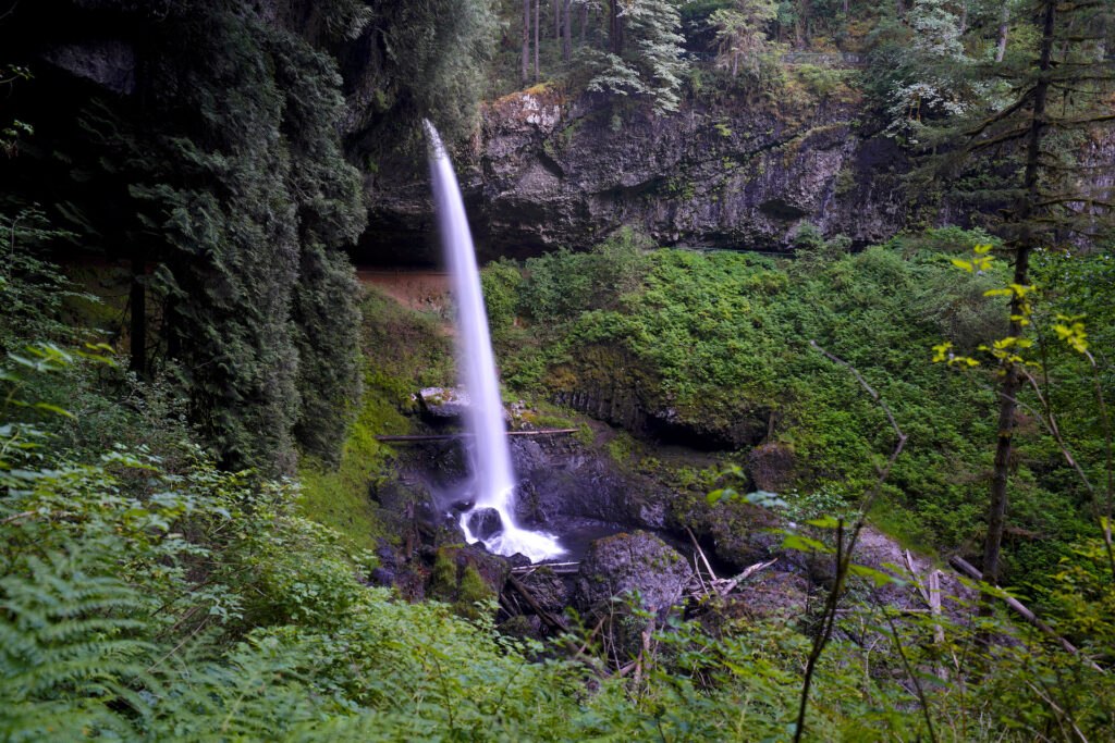 North Falls drops in a clean, slender plunge into a forested canyon in Silver Falls State Park, Oregon.