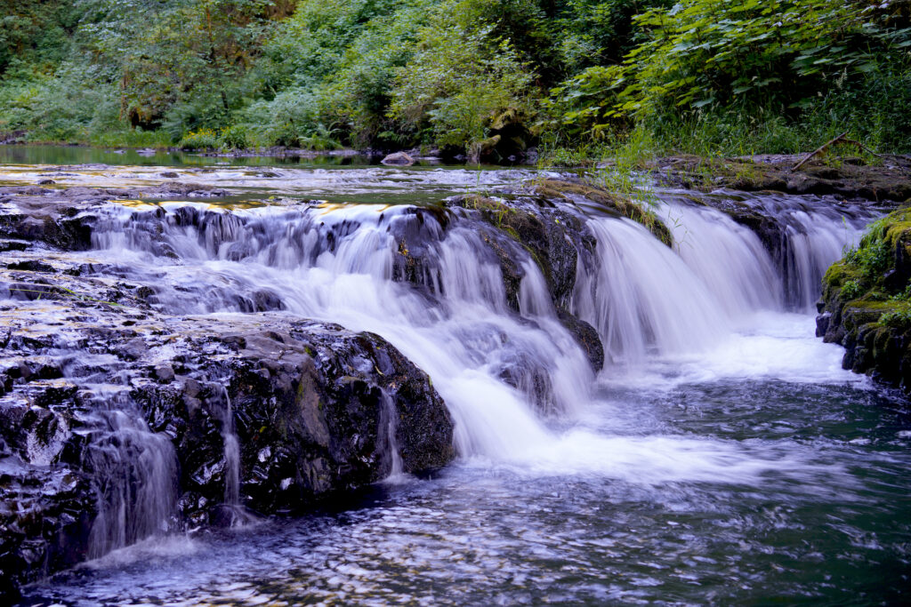 North Silver Creek splashes over a short ledge and into a pool in Oregon's Silver Falls State Park.