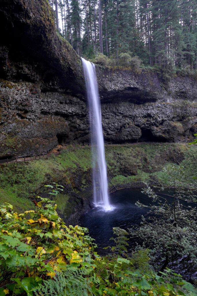 South Falls plunges 177 feet into a big, dark pool within Silver Falls State Park in Oregon. A trail passes behind this waterfall beneath the towering cliff.