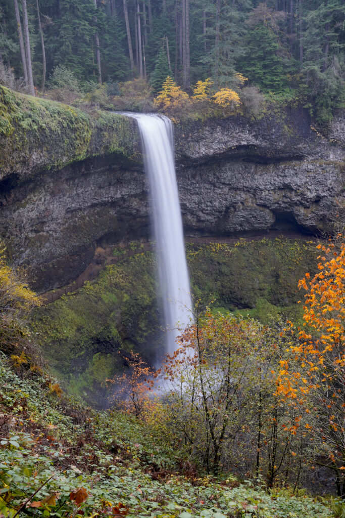 Warm autumn foliage adds color around the view of lofty South Falls in Oregon's Silver Falls State Park.