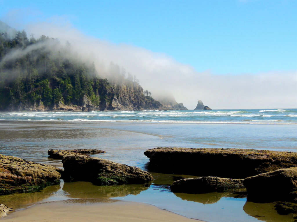 Looking across gentle waves to a forested point with fog snaking through the trees. Flat rocks adorn the beach in the foreground.