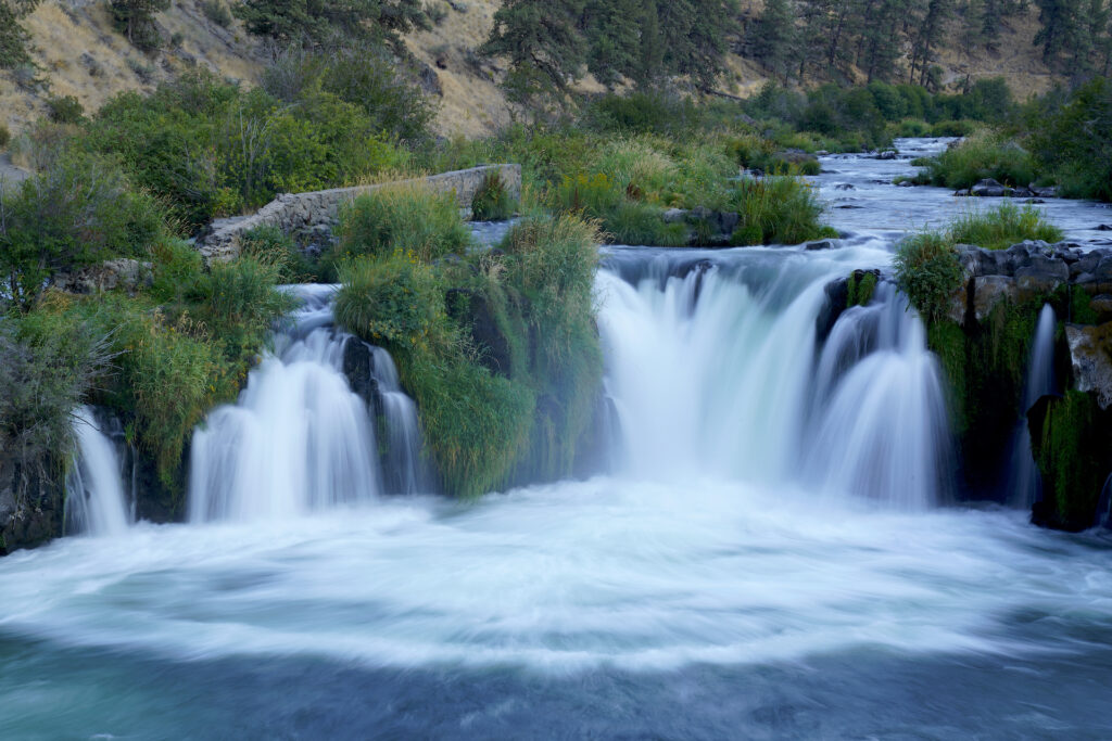 Head-on view of 20-foot Steelhead Falls on Oregon's Deschutes River plunging over a wide ledge in two main channels, separated by a large rock with clumps of tall grass growing from it. Grasses and green vegetation grow along the riverbanks upstream with dryer grasses and taller pine tres extending up the sloping canyon wall at the top of the image. A churning pool at the falls base fills the bottom of the image.