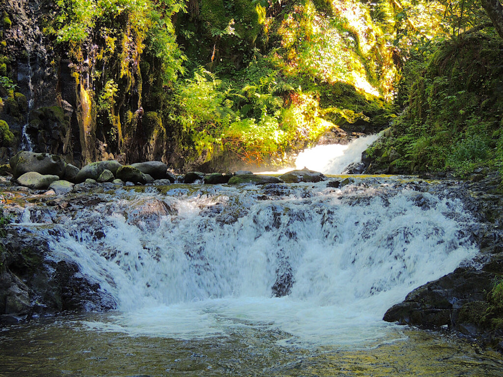 Oneonta Creek cascades down a sloping ledge into a refeshing pool as sunlight streams into the canyon from upstream.