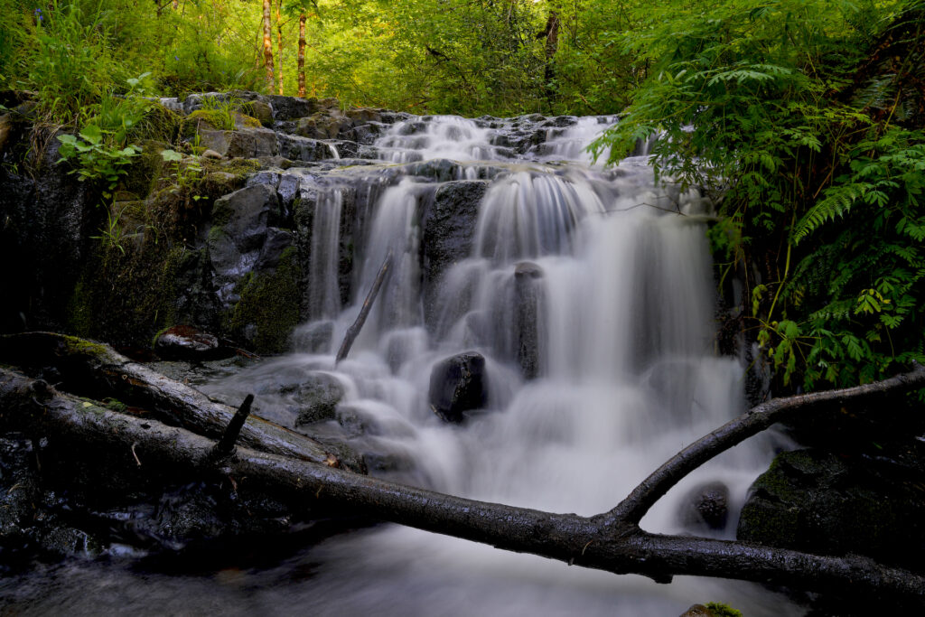 A short waterfall cascades through forest greenery along the Angel's Rest Trail in Oregon.