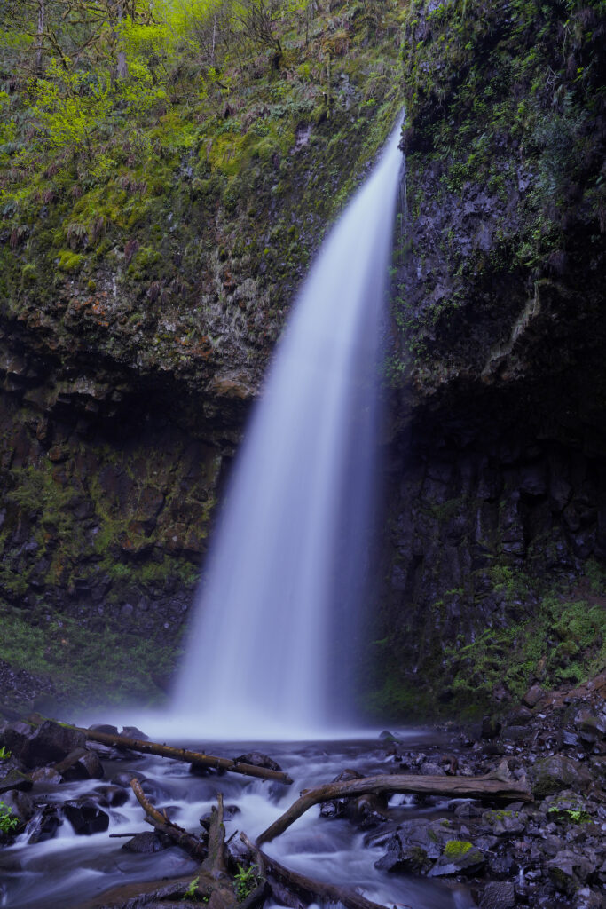 Perpetual shadow created by the surrounding cliffs engulfs Upper Latourell Falls.