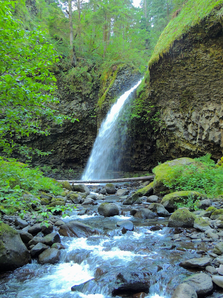 Upper Oneonta Falls pours over a columnal basalt ledge in the forest of Columbia Gorge National Scenic Area of Oregon.