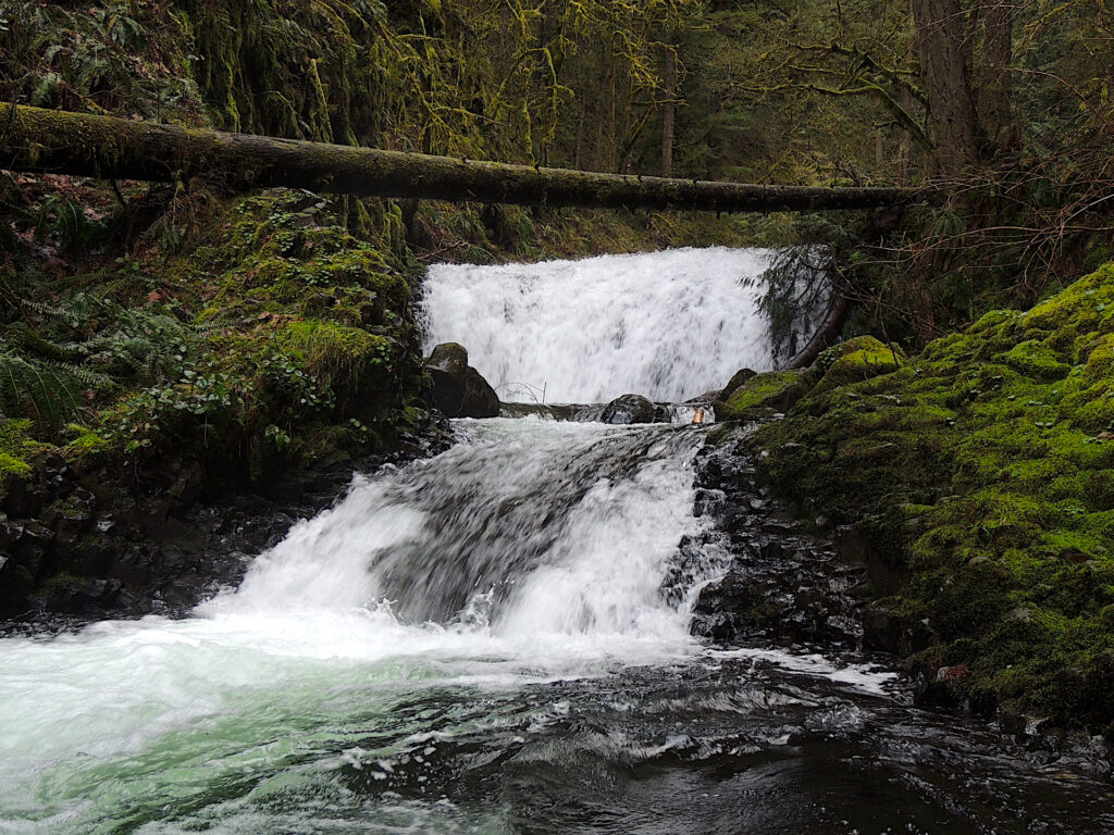 Two of several tiers of Dutchman Falls flow through the mossy early spring in the Columbia River Gorge of Oregon.