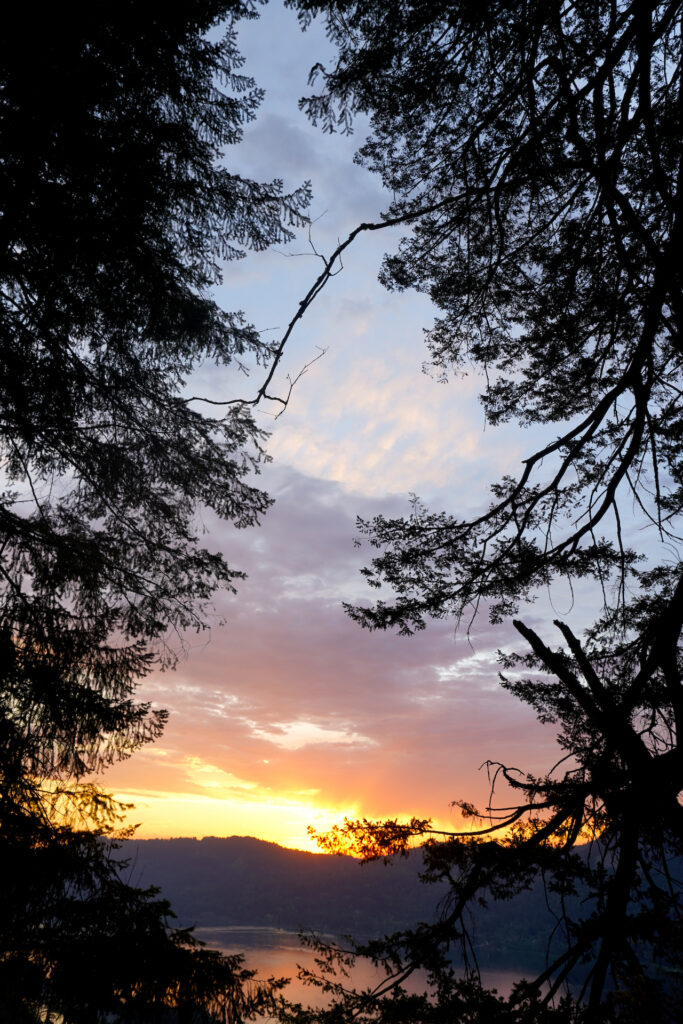 A gap in the trees reveals a gentle sunset in the Columbia River Gorge.