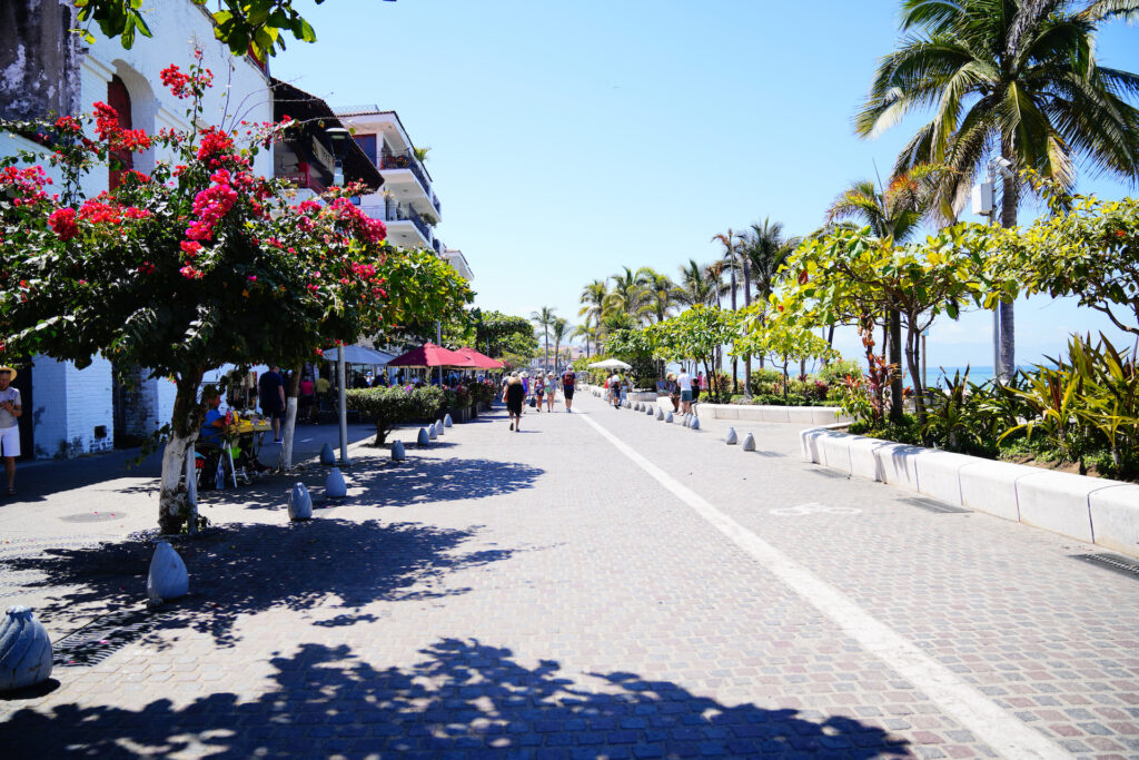 Looking down the Malecon, the palm-lined pedestrian-only street along the water in Puerto Vallarta on a sunny day.