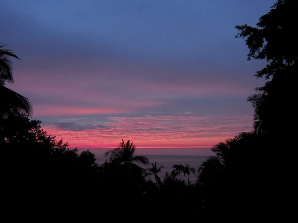 A fading pink and blue sunset is seen through a gap in the dark tropical jungle just south of Puerto Vallarta.