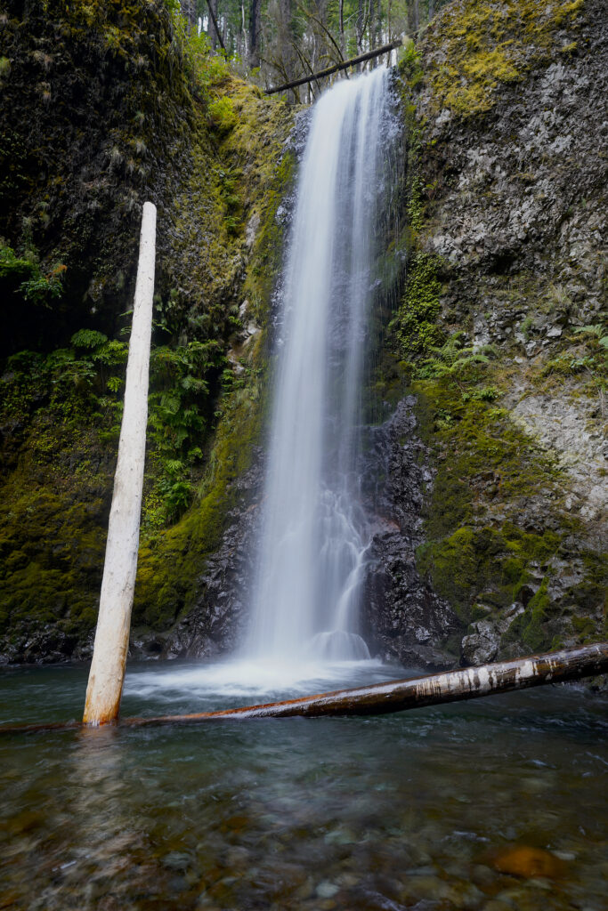 Two logs share the pool at the base of Weisendanger Falls on Oregon's Multnomah Creek.