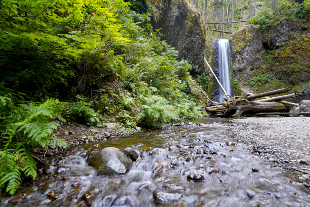 Looking up Multnomah Creek to pretty Weisendanger Falls. A ferny sloping bank is on the left and a flat pebble beach is on the right.