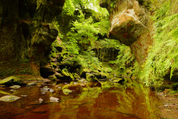 Looking up Finnich Glen with its signature red sandstone beneath the water of Carnock Burn in central Scotland.