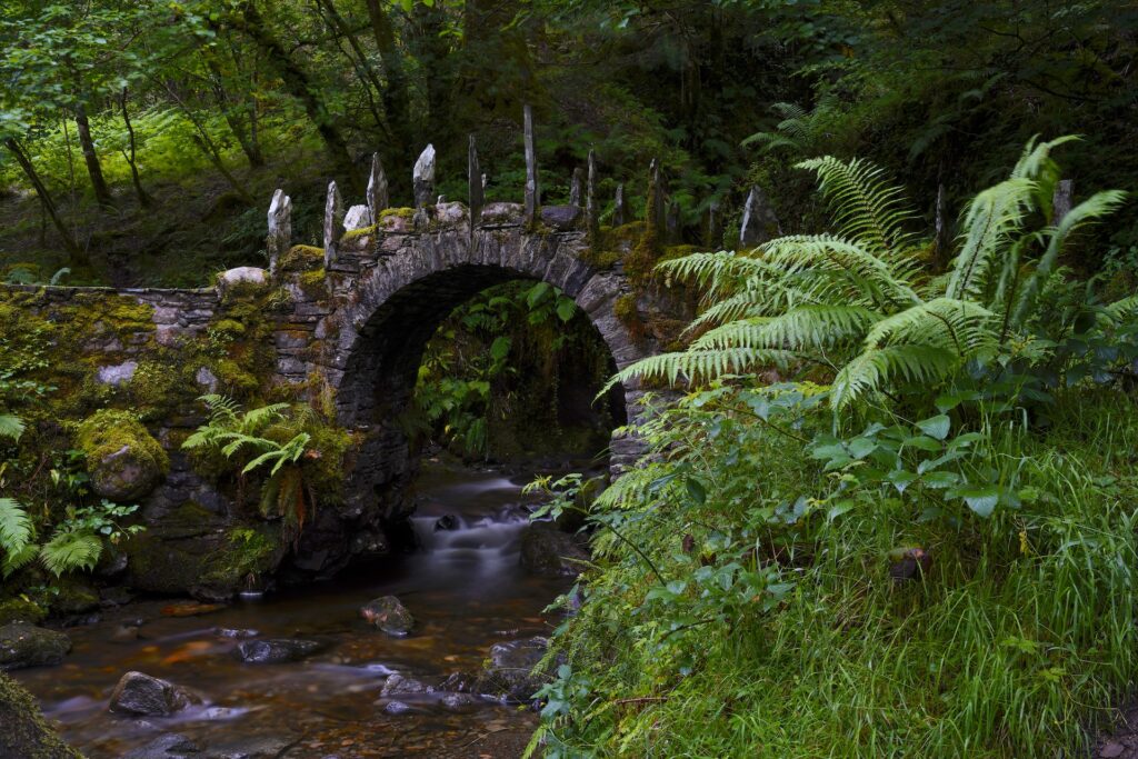 The Fairy Bridge of Glen Creran arches across a pretty stream in the woods in Scotland.