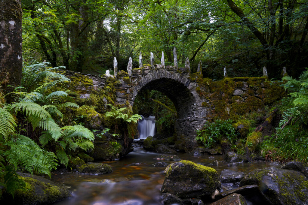 The Fairy Bridge, a wee stone bridge built in the 1500s, crosses a stream in the forest in Scotland.