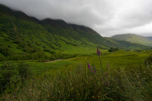 Emerald slopes rise from the side of Glen Nevis up to Ben Nevis, with its summit lost in the clouds.