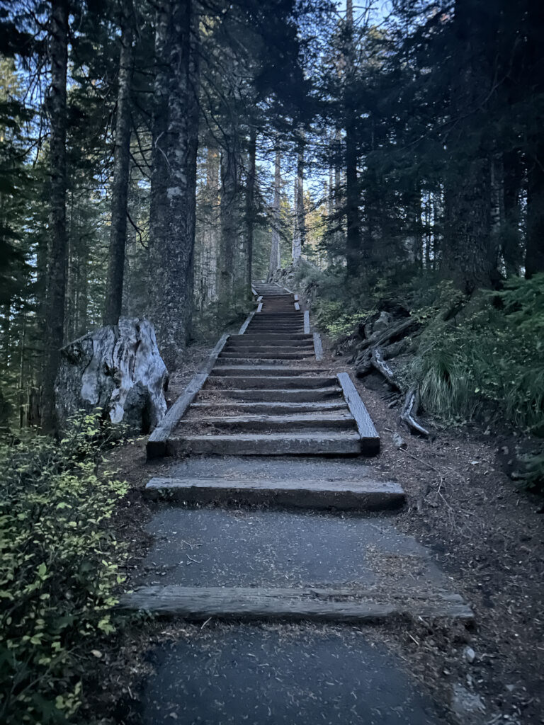 Sets of steps lead up into the forest at Larch Mountain in Oregon.