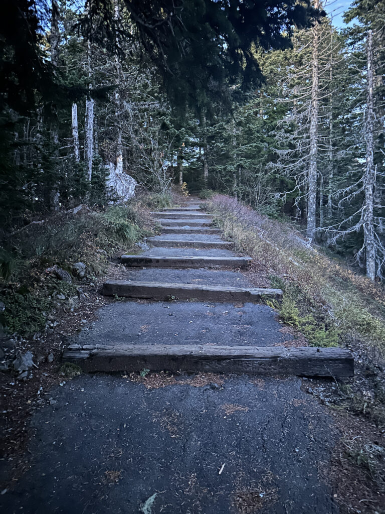 Steps lead up through the forest at Larch Mountain in Oregon.