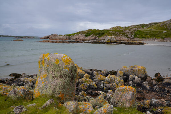 Speckled granite boulders are covered in lichen at Fionnphort Bay on the Isle of Mull, Scotland.