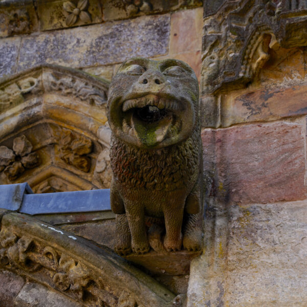 A carved stone gargoyle in the form of a lion protrudes from a stone church in Scotland.