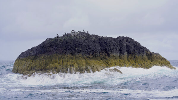 Waves crash and swirl around a large rock off the west coast of Scotland.