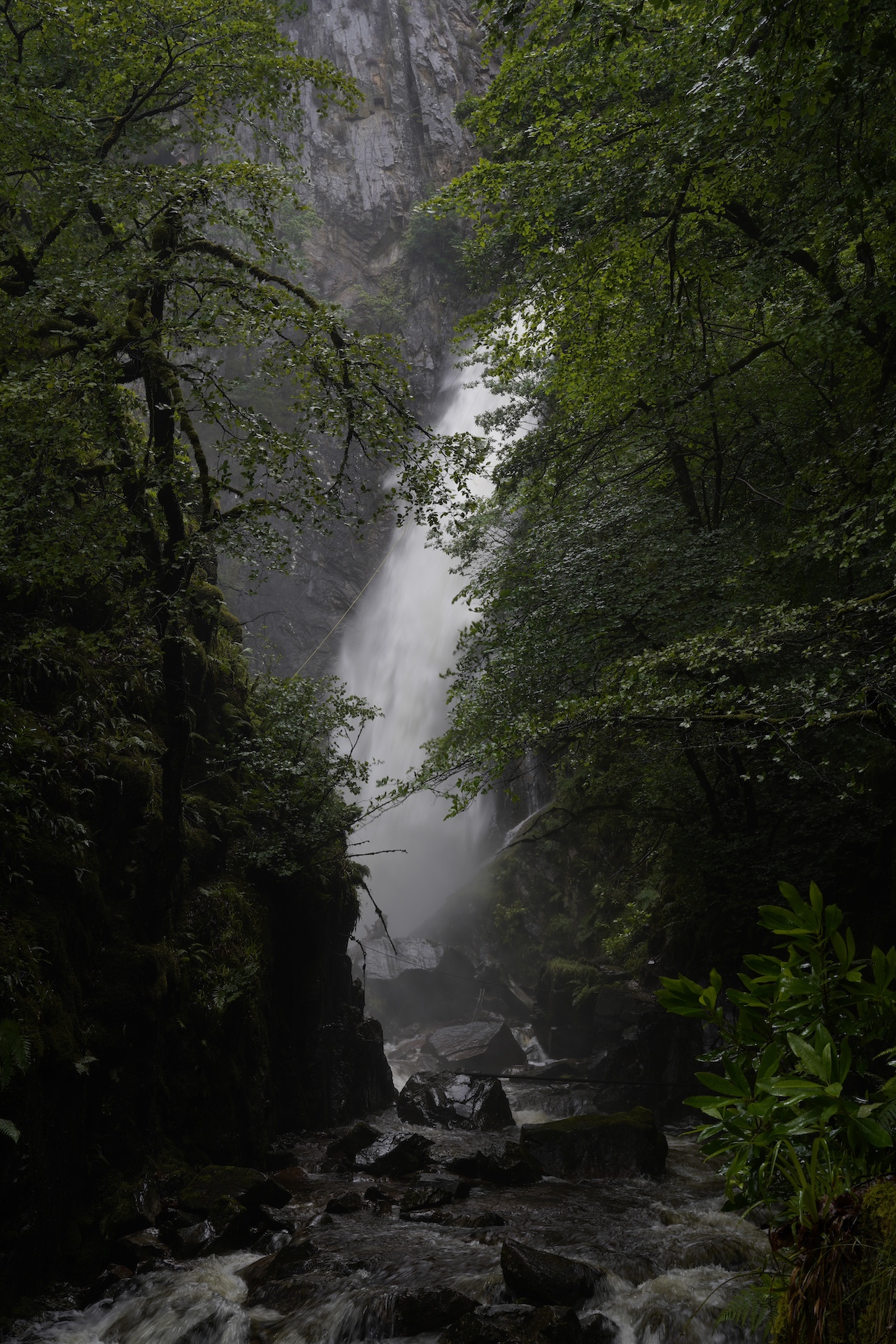 Gray Mare's Tail Waterfall rages in a forested canyon near Glencoe, Scotland.