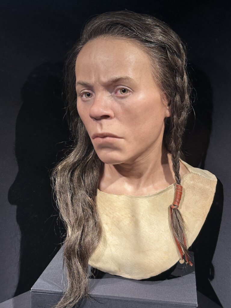 A facial reconstruction of a middle-age woman who lived during neolithic times in Kilmartin Glen, Scotland.