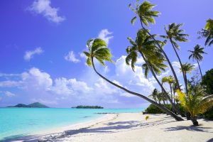 Palms sway in the breeze over the white sand beach and turquoise water of Motu Tevairoa, Bora Bora.