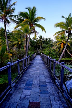 Looking down a long stone walkway over a small tropical lake on the island of Huahine, French Polynesia.