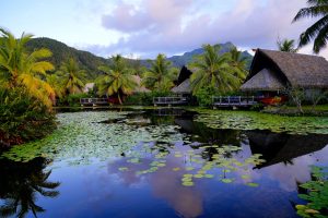 Thatched huts surround a tranquil lake on Huahine, French Polynesia.