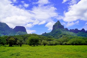 Pointy Mauarua rises above the verdant Opunohu Valley on Moorea, French Polynesia.