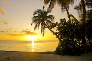 Palm trees lean into a perfect Polynesian sunset.