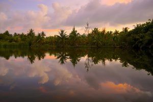 Pink clouds and palm trees are reflected in the glassy surface of Lake Tautau in French Polynesia.